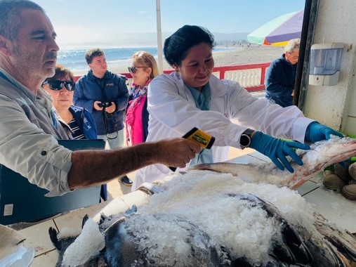 Semana Santa: Seremi de Salud levanta 8 sumarios sanitarios por fiscalización de pescados y mariscos